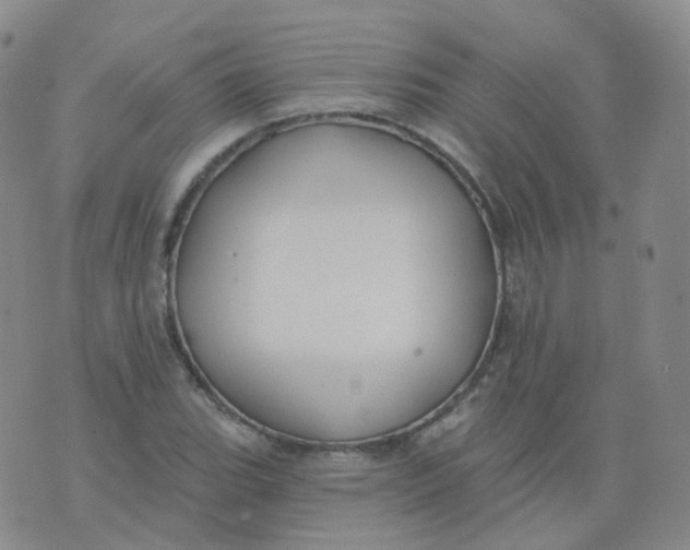 X0000076061119200610152155