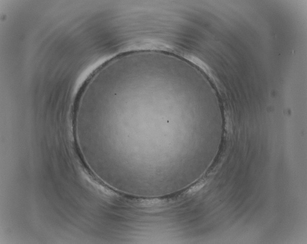 X0000076061120200610152155