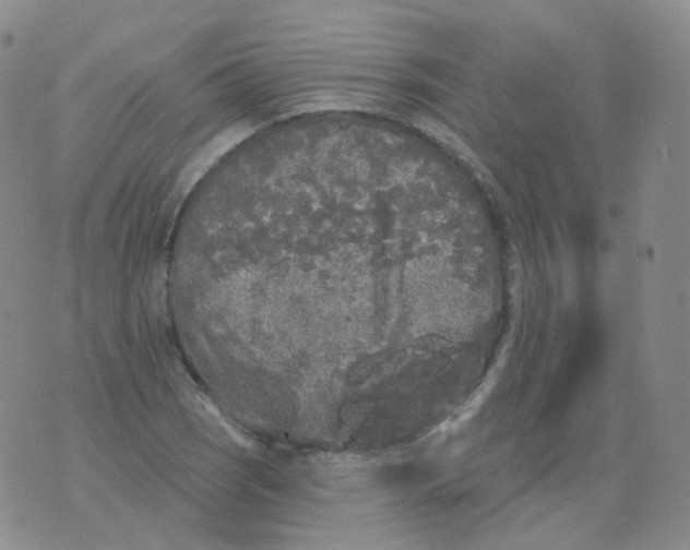 X0000076061121200610152155