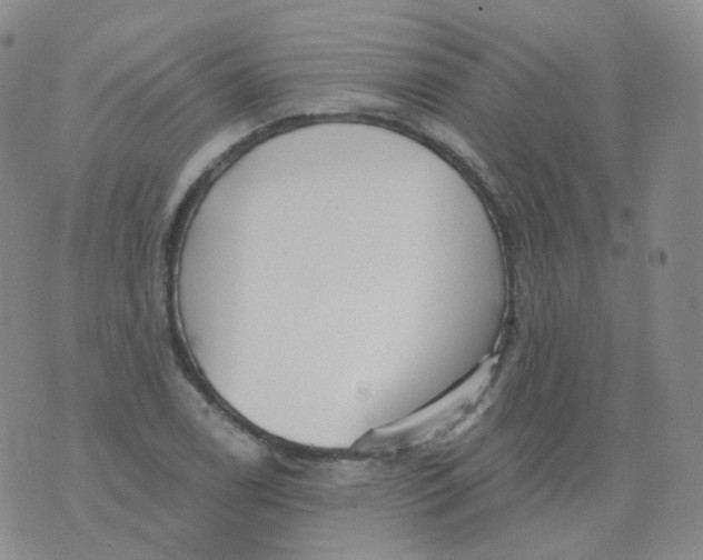 X0000076061122200610152155