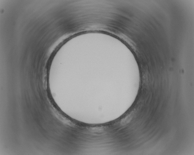 X0000076061126200610152155