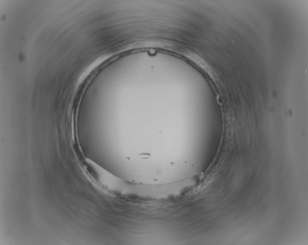 X0000076061127200610152156