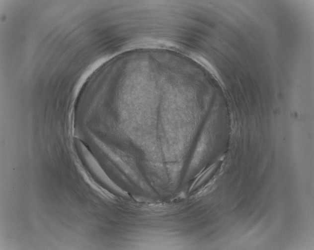 X0000076061128200610152156