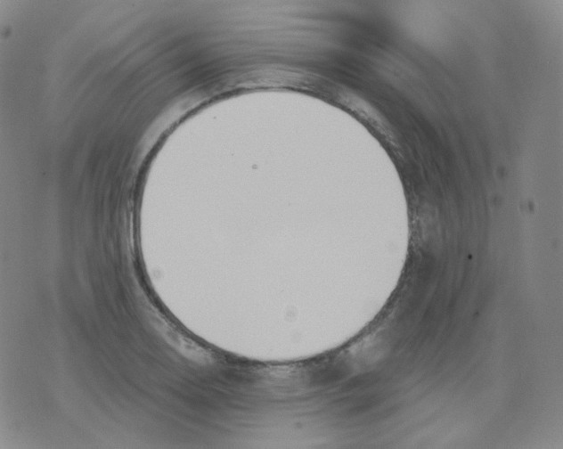 X0000076061130200610152156