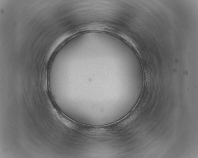 X0000076061131200610152156