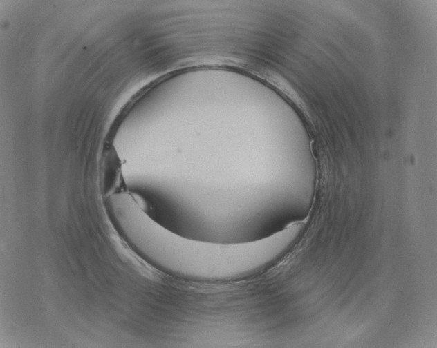 X0000076061132200610152156