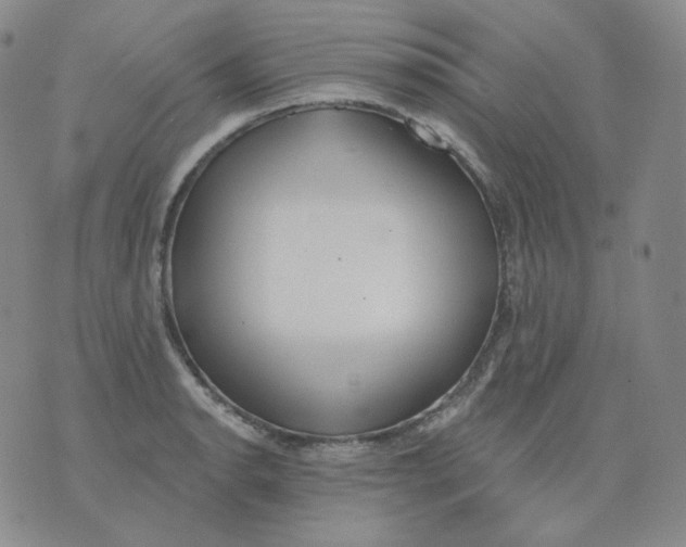 X0000076061134200610152156