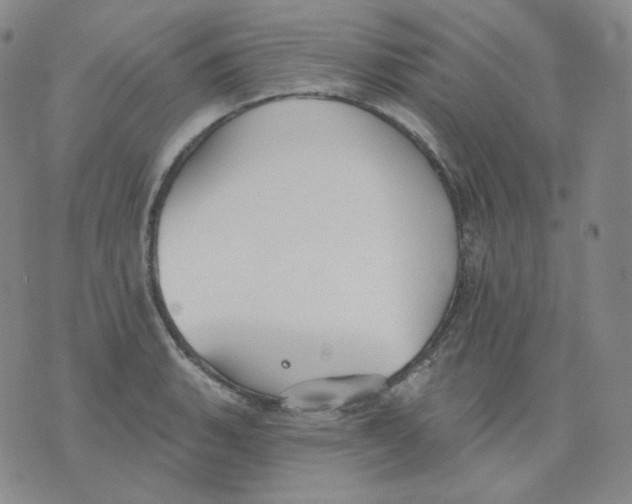 X0000076061135200610152156