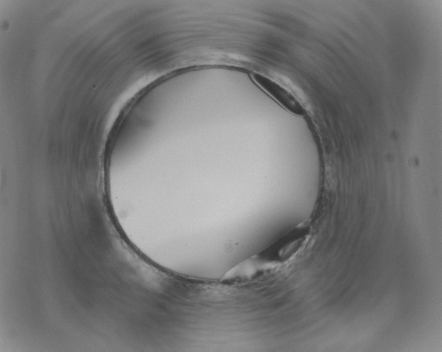 X0000076061136200610152156