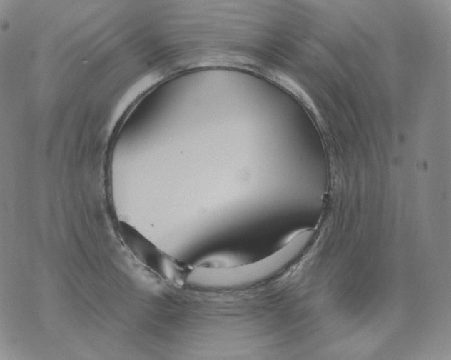 X0000076061138200610152156