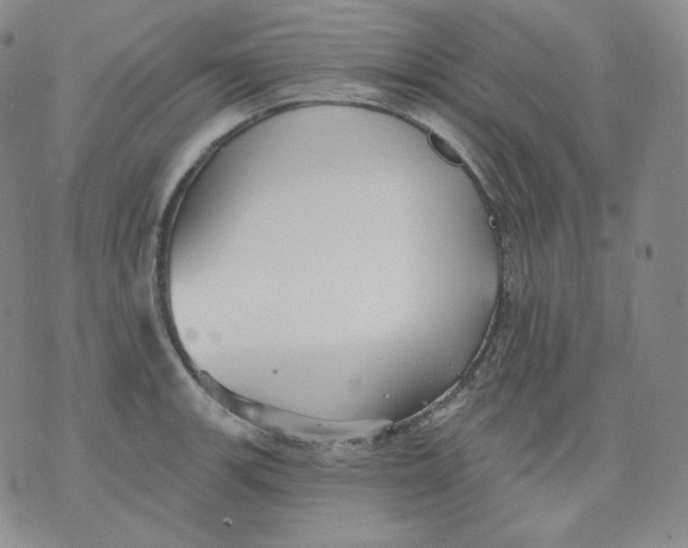 X0000076061139200610152156