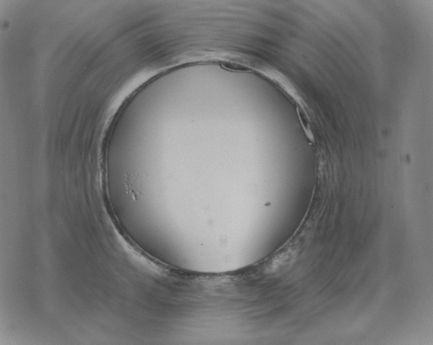 X0000076061143200610152156