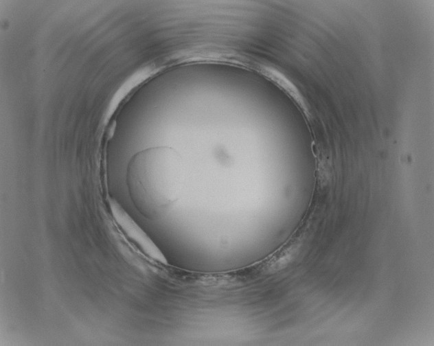 X0000076061146200610152156