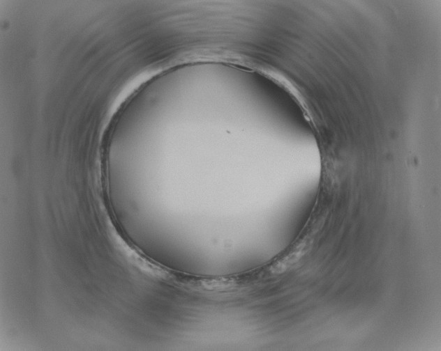 X0000076061147200610152156