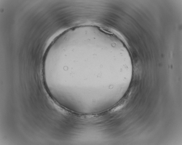 X0000076061149200610152156