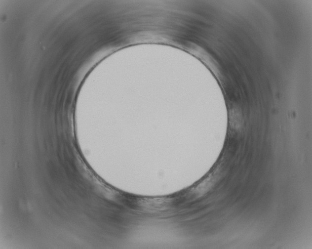 X0000076061150200610152156