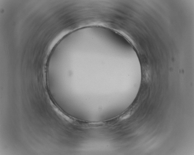 X0000076061151200610152156