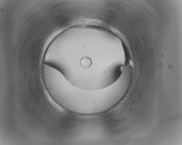 X0000076061152200610152156