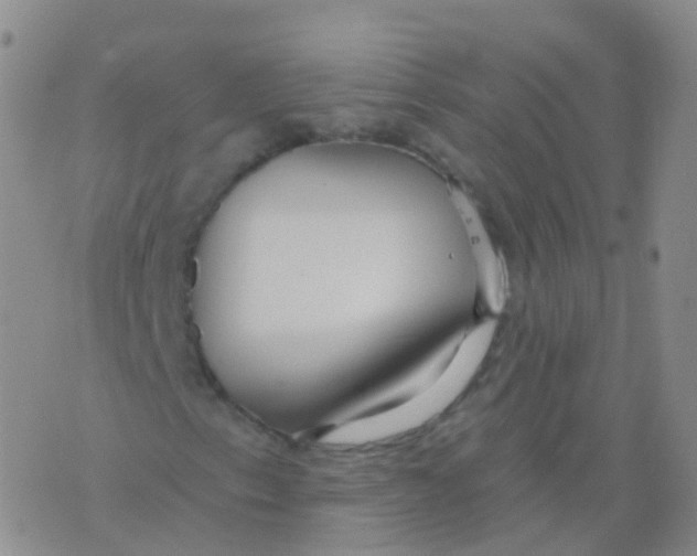 X0000076061153200610152155