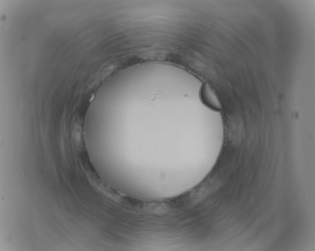 X0000076061154200610152155