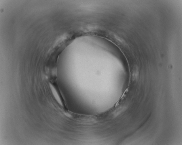 X0000076061156200610152155