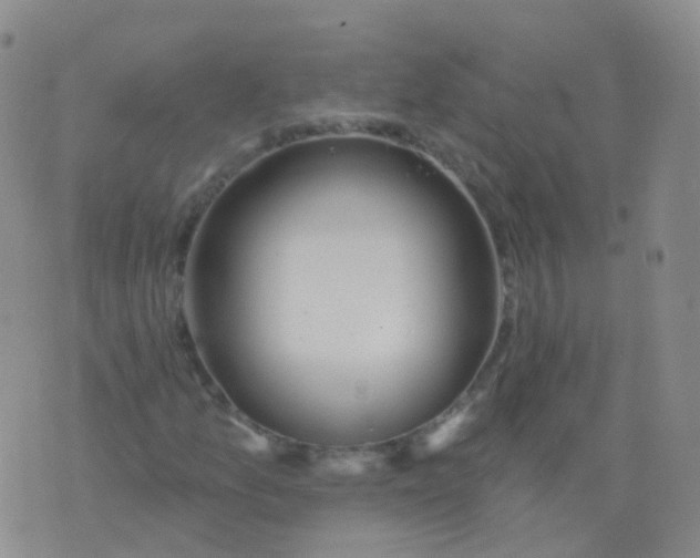 X0000076061157200610152155