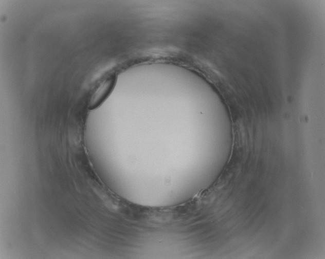 X0000076061158200610152155