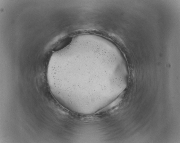 X0000076061159200610152155