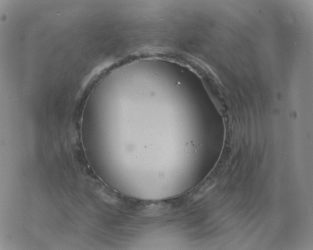 X0000076061160200610152155