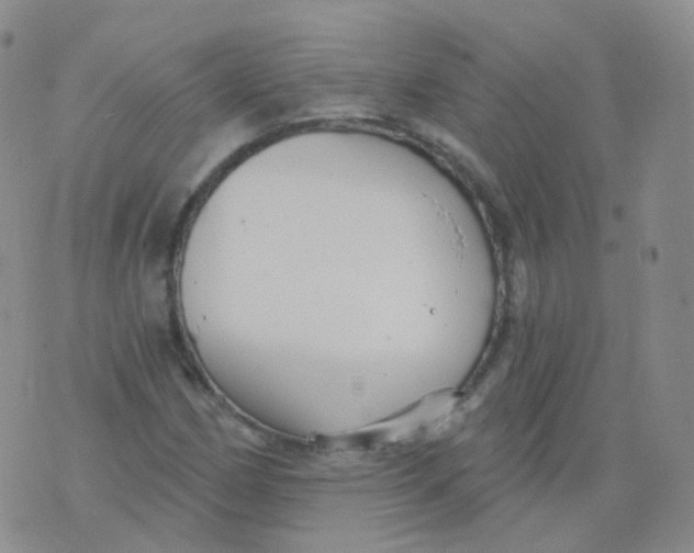 X0000076061162200610152155