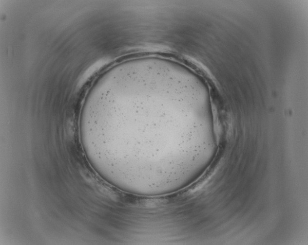 X0000076061163200610152155