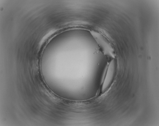 X0000076061164200610152155