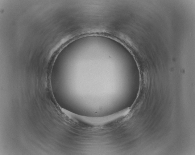 X0000076061165200610152155