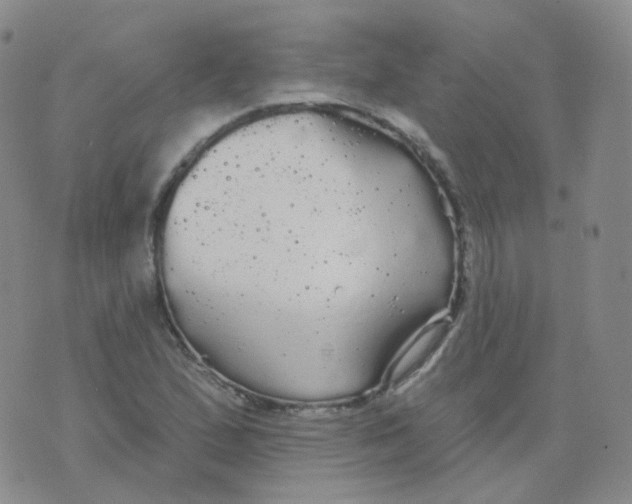 X0000076061167200610152155