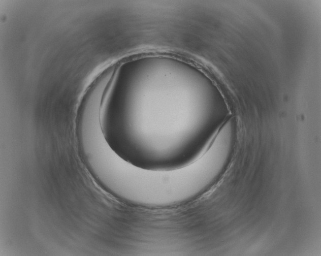 X0000076061168200610152155