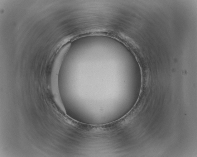 X0000076061169200610152155