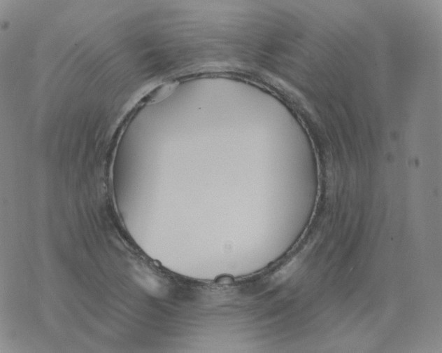 X0000076061170200610152155