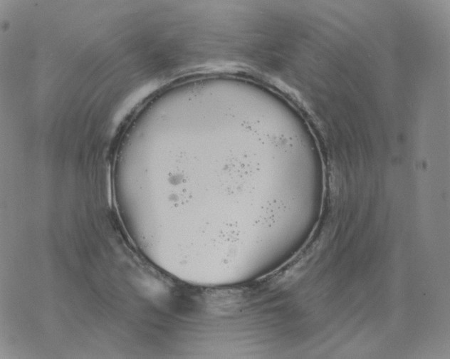 X0000076061171200610152155