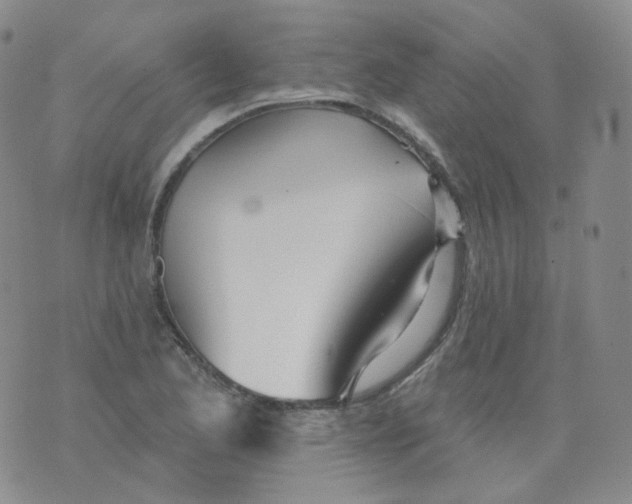 X0000076061173200610152155