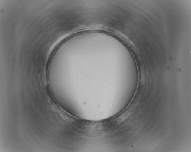 X0000076061174200610152155