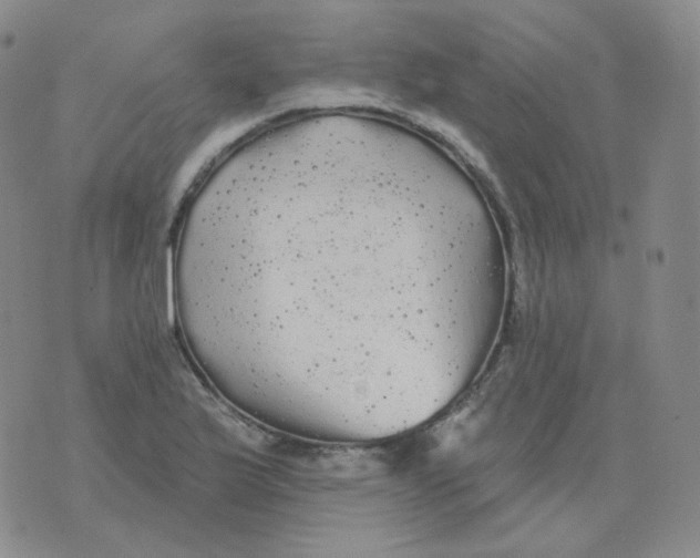 X0000076061175200610152155