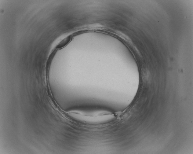 X0000076061176200610152155