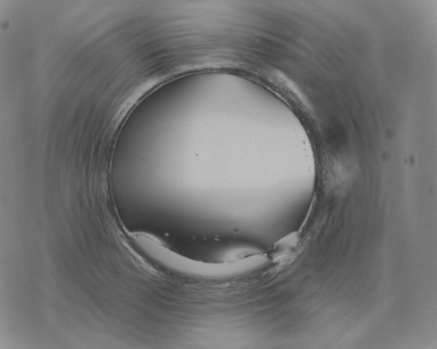 X0000076061177200610152155