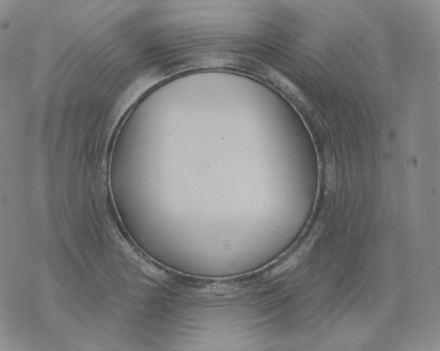 X0000076061178200610152155