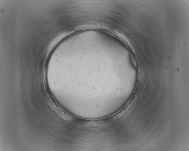 X0000076061179200610152155