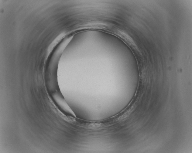 X0000076061180200610152155