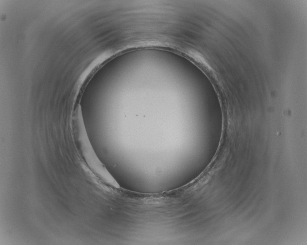 X0000076061181200610152155