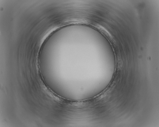 X0000076061182200610152155