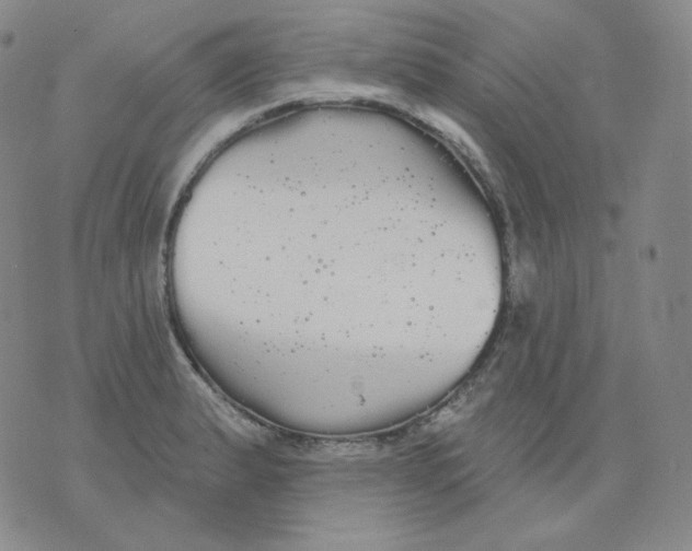 X0000076061183200610152155