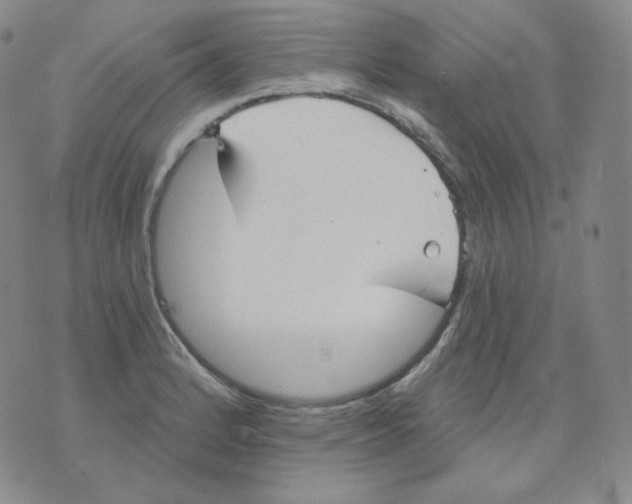 X0000076061184200610152155